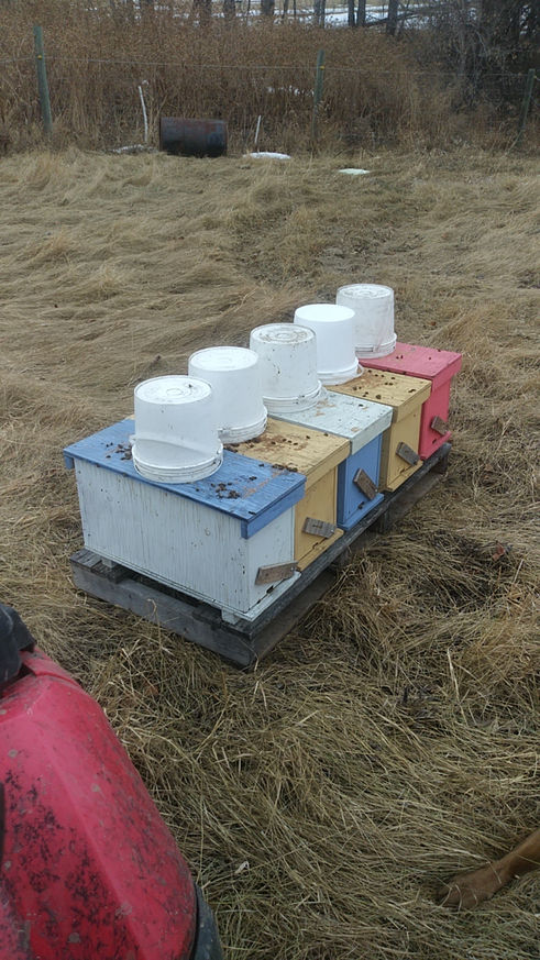 2021 Season photo 24